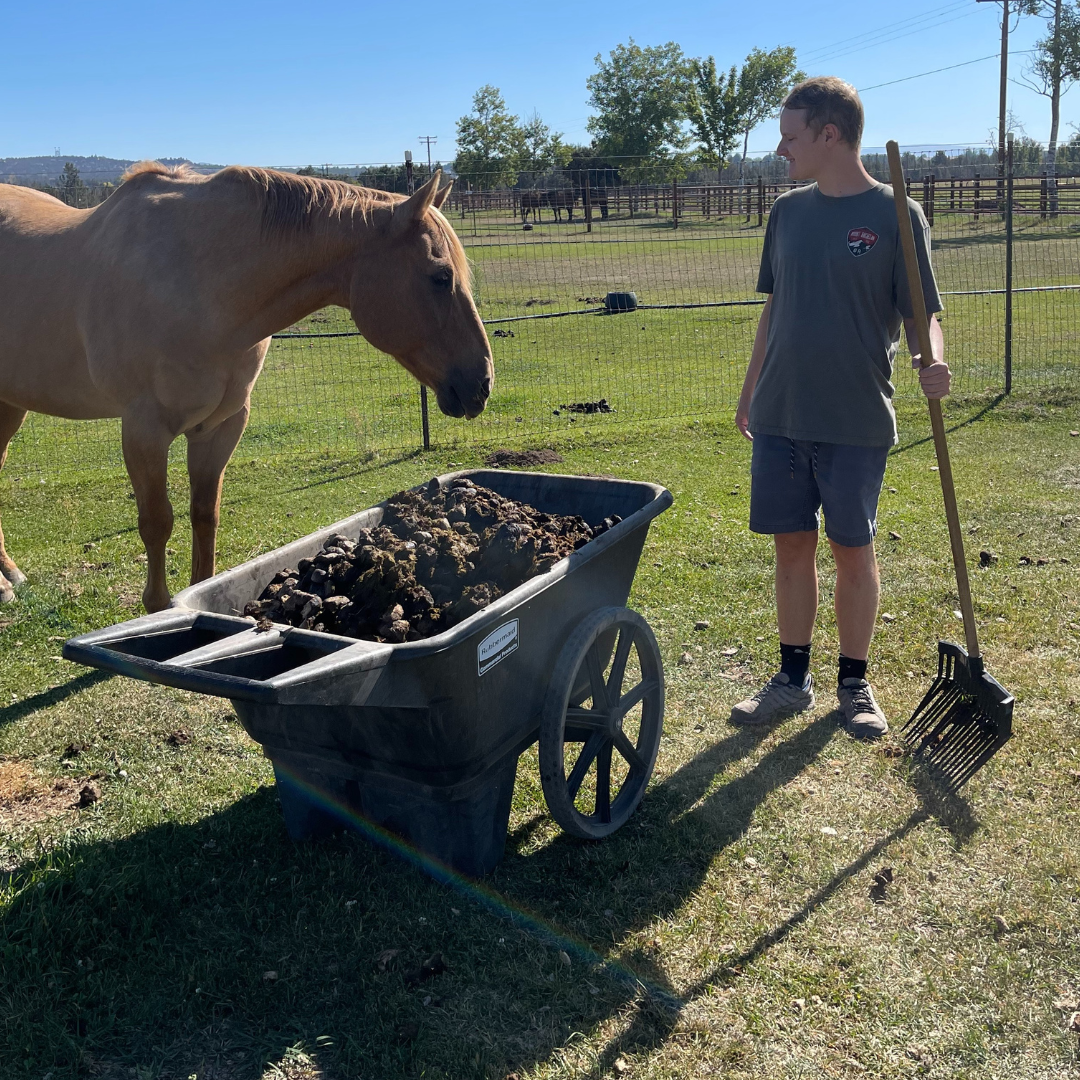 Horse Time